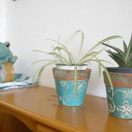 Apartment Synergie Si06 - Sol