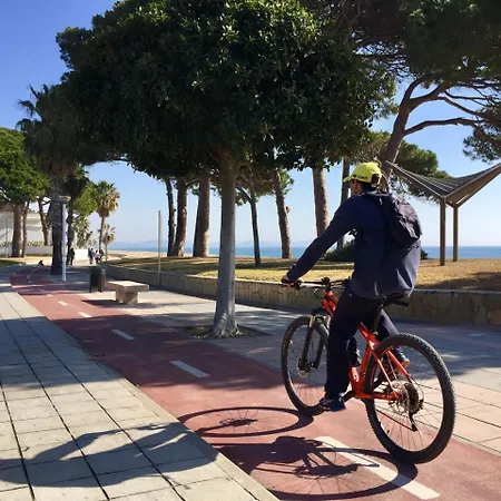 Synergie Si06 - Sol * Cambrils